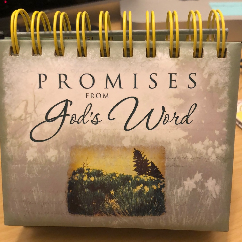 NWOT Day Spring Daily Calendar - God’s Promises😇